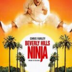 دانلود فیلم Beverly Hills Ninja 1997