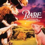 دانلود فیلم Babe 1995