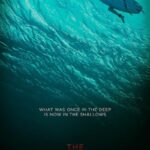 دانلود فیلم The Shallows 2016