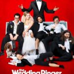 دانلود فیلم The Wedding Ringer 2015