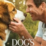 دانلود فیلم A Dog's Journey 2019