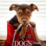 دانلود فیلم A Dog's Way Home 2019