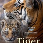 دانلود فیلم Tiger 2024