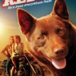 دانلود فیلم Red Dog 2012