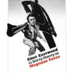 دانلود فیلم Magnum Force 1973