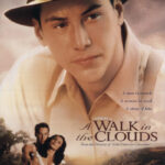 دانلود فیلم A Walk in the Clouds 1995