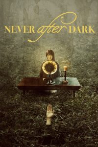 دانلود فیلم Never After Dark  2026